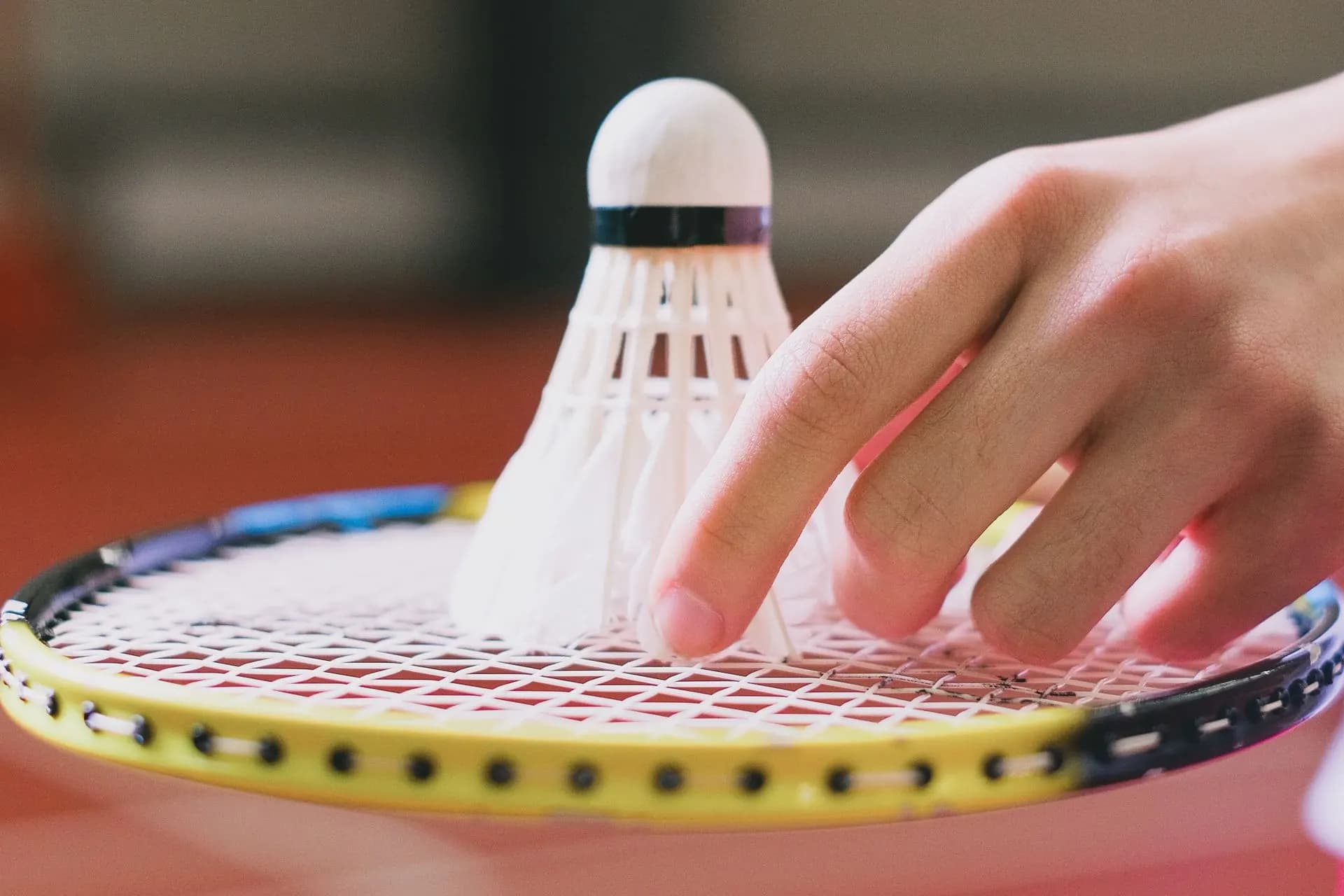 A shuttlecock resting on a badminton racket