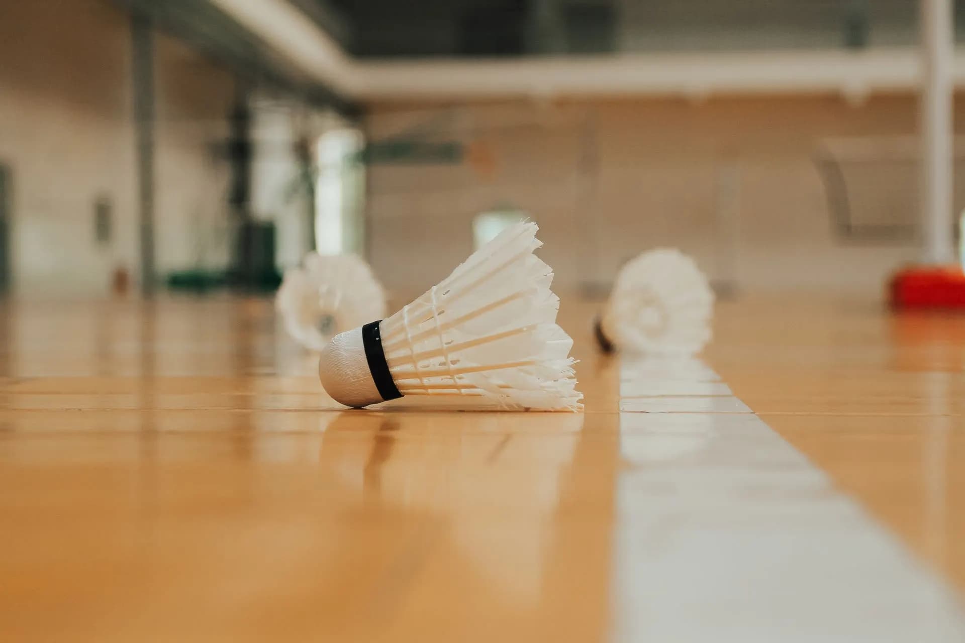 Shuttlecocks on the wooden floor of a sports hall